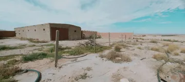 Vente Terrain Agricole Djelfa Djelfa 7