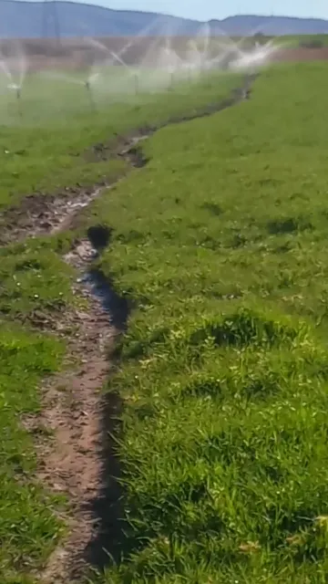 Vente Terrain Agricole Djelfa Ain oussara 2