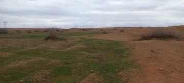 Vente Terrain Agricole Djelfa Ain oussara 11
