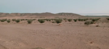 Vente Terrain Agricole Djelfa Djelfa 7