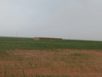 Vente Terrain Agricole Djelfa Hassi bahbah 3
