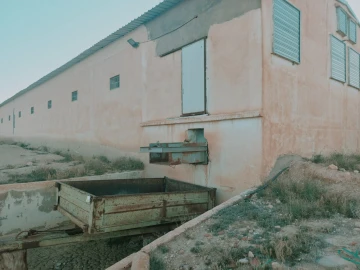 Vente Terrain Agricole Djelfa Charef 18