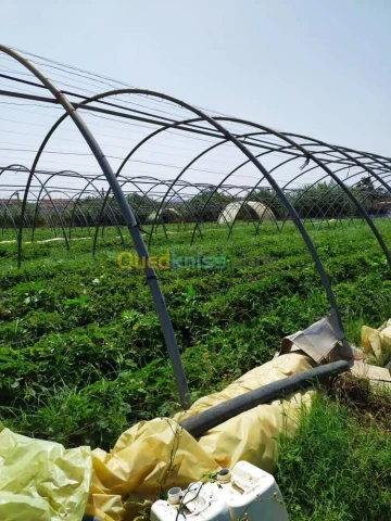 Vente Terrain Agricole Alger Zeralda 11