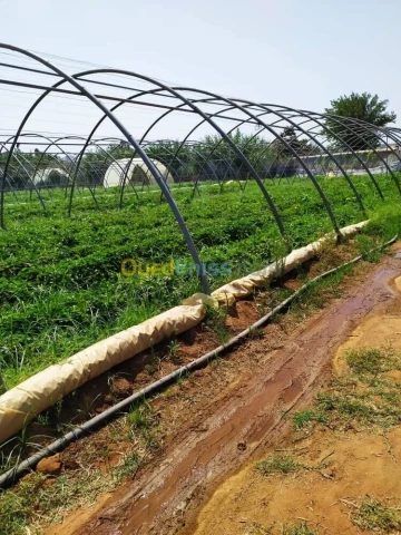 Vente Terrain Agricole Alger Zeralda 8