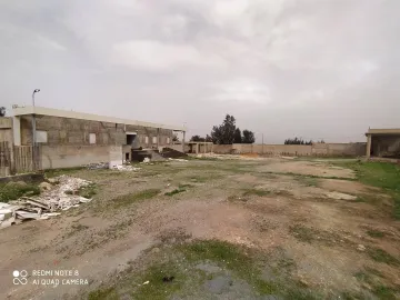 Vente Terrain Relizane Sidi khettab 4