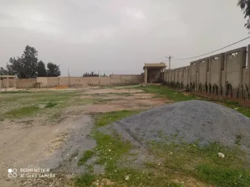 Vente Terrain Relizane Sidi khettab 6