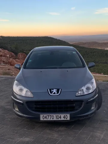 Peugeot 407 2004 407 4