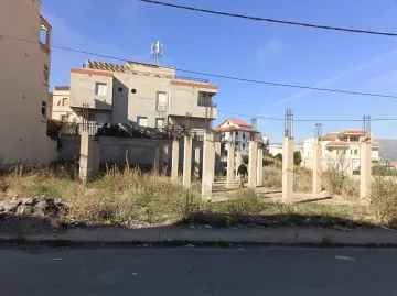 Vente Terrain Constantine Ain smara