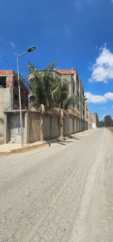 Vente Carcasse Alger Birtouta 2