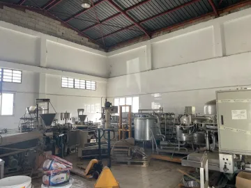 Vente Usine Blida Ben khellil 4
