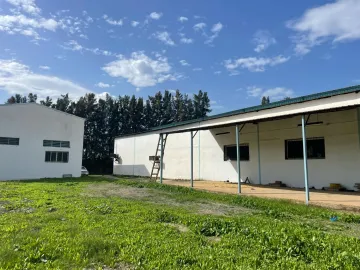 Vente Usine Blida Ben khellil 5