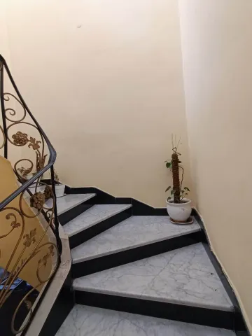 Location Immeuble Oran Oran 5