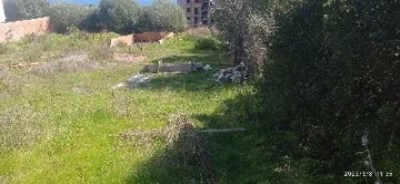 Vente Terrain Boumerdès Dellys 3