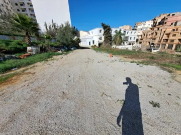 Location Terrain Alger Draria 2