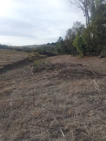 Vente Terrain Boumerdès Dellys 2
