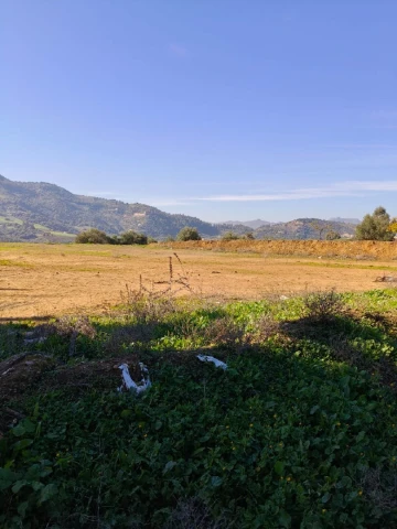 Vente Terrain Bouira Lakhdaria 3