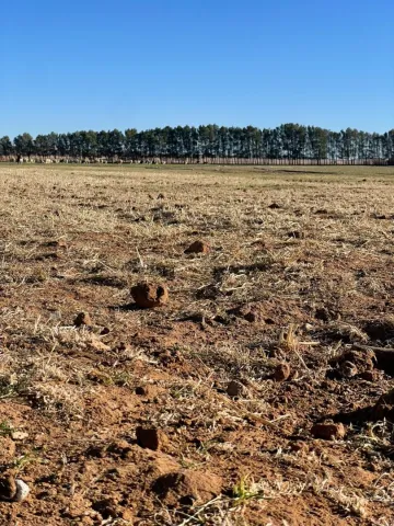 Vente Terrain Agricole Djelfa Djelfa 6