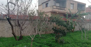 Vente Villa Boumerdès Khemis el khechna