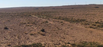 Vente Terrain Agricole Djelfa Ain oussara 7