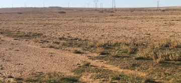 Vente Terrain Agricole Djelfa Ain oussara 4