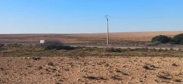 Vente Terrain Agricole Djelfa Ain oussara 9
