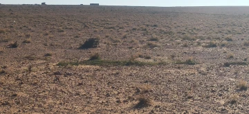 Vente Terrain Agricole Djelfa Ain oussara 15