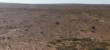 Vente Terrain Agricole Djelfa Ain oussara 13