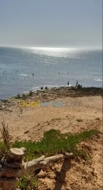 Location Studio Alger Ain benian 19