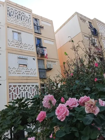Vente Local Constantine El khroub 6