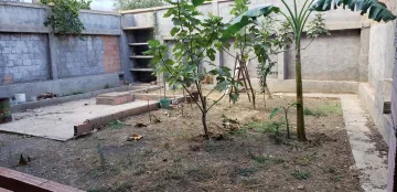 Vente Carcasse Blida Ben khellil 2
