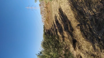 Vente Terrain Agricole Boumerdès Zemmouri 2