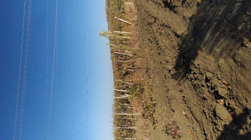Vente Terrain Agricole Boumerdès Zemmouri 6