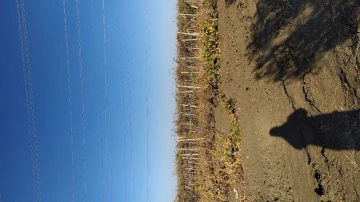 Vente Terrain Agricole Boumerdès Zemmouri 5