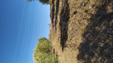 Vente Terrain Agricole Boumerdès Zemmouri 4