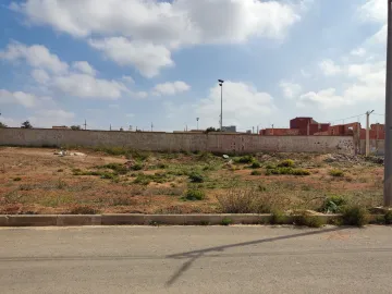 Vente Terrain Aïn Témouchent El amria 4