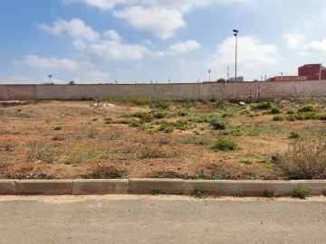 Vente Terrain Aïn Témouchent El amria 2