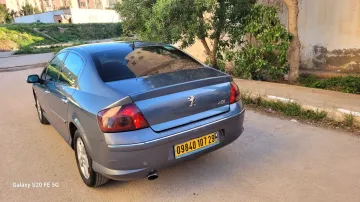 Peugeot 407 2007 407 11
