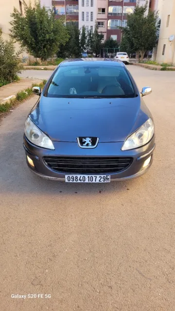 Peugeot 407 2007 407 7