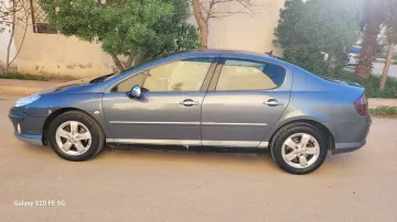 Peugeot 407 2007 407 12