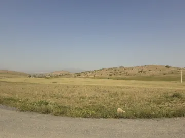 Vente Terrain Batna El madher 4