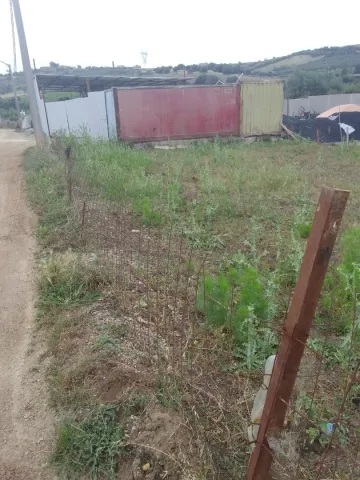 Vente Terrain Boumerdès Larbatache 3