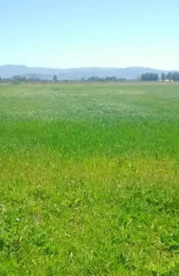 Vente Terrain Agricole Médéa El guelbelkebir 5
