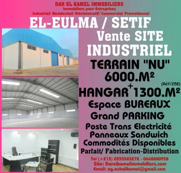 Vente Hangar Sétif El eulma