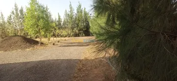 Vente Appartement Niveau de villa Tiaret Tiaret 4