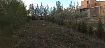 Vente Appartement Niveau de villa Tiaret Tiaret 2