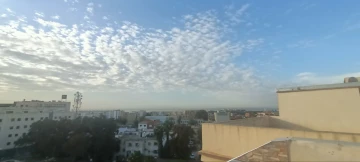 Vente Immeuble Alger Zeralda 3