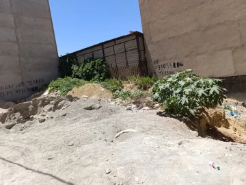 Vente Terrain Tlemcen Tlemcen 3