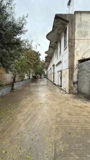 Location Local Blida Soumaa 5