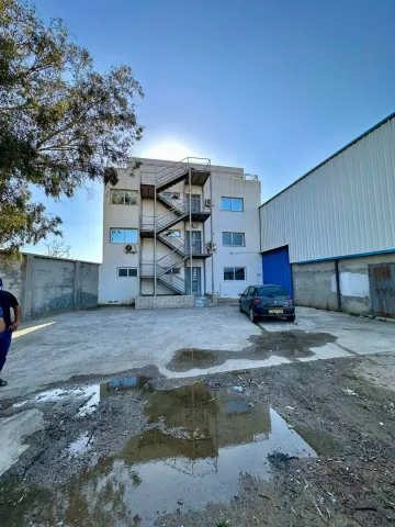 Location Hangar Blida Boufarik 14