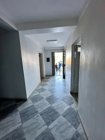 Location Hangar Blida Boufarik 16